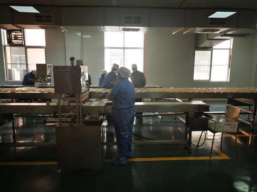 陜西五大供應鏈行業(yè)標桿企業(yè)創(chuàng)始人齊聚，分享數(shù)字化轉型之路與西安網(wǎng)站建設經驗